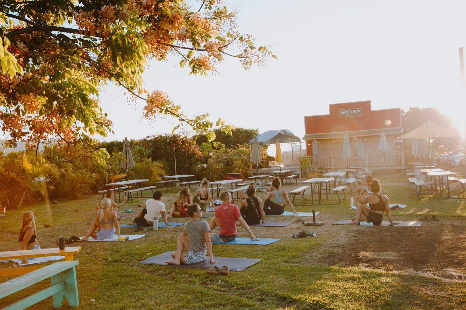 Outdoor group yoga class at golden hour near Farm to Barn in Hilo